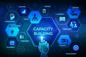 Capacity Building and Training Skills Development