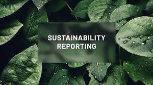 Sustainability Reporting Training