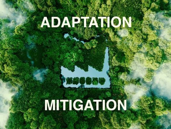 Climate Change Adaptation & Mitigation
