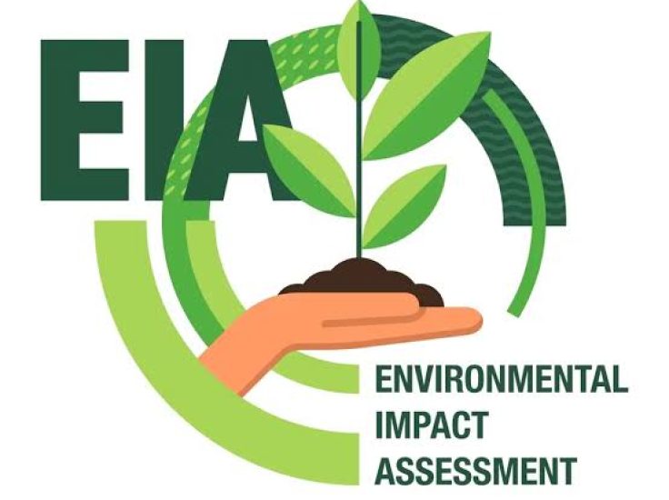 Environmental Impact Assessment (EIA)