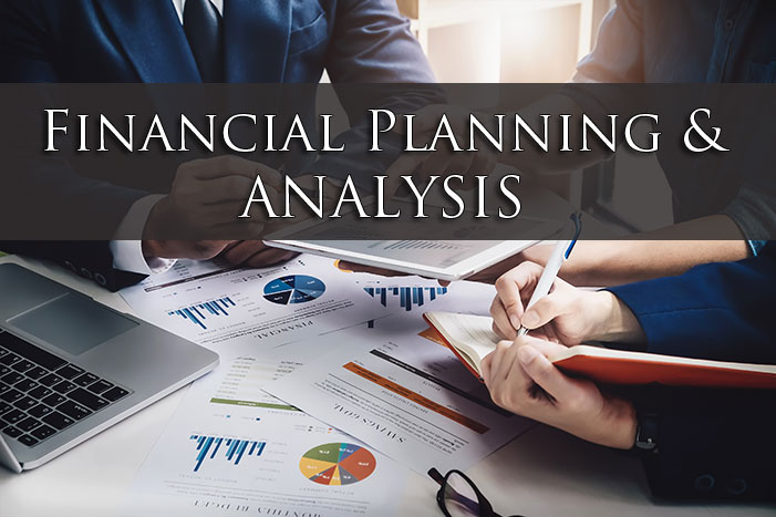 Financial Planning & Analysis (FP&A)