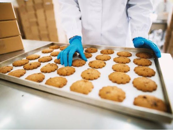 Food Handling for Food Factories Skills
