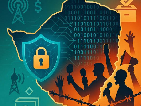 Navigating Zimbabwe’s Cyber Laws
