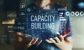 Capacity Building & Skills Training