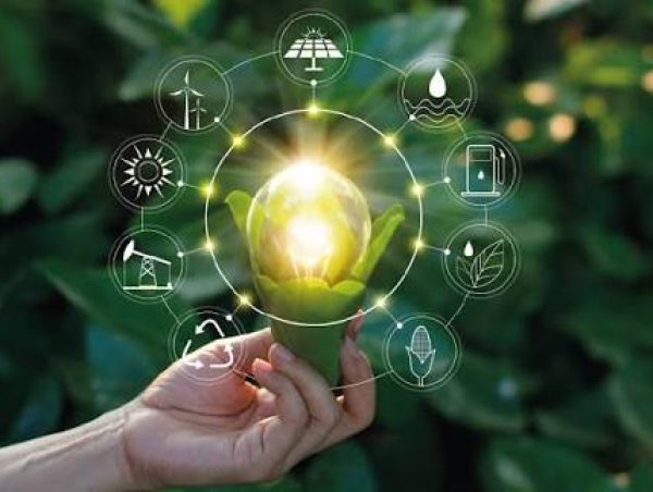 nvironmental Management & Sustainability