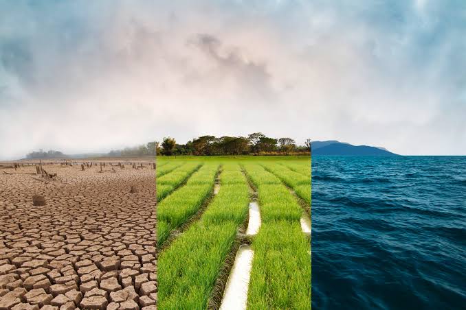 Climate Change, Resilience & Sustainability
