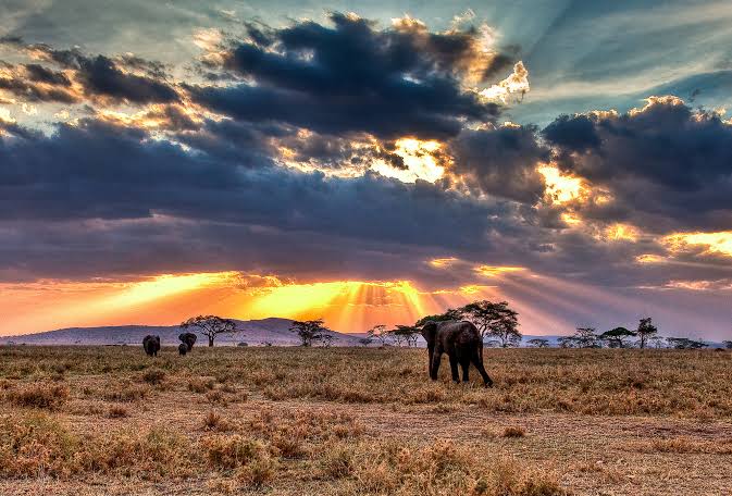 Climate Finance & Innovation