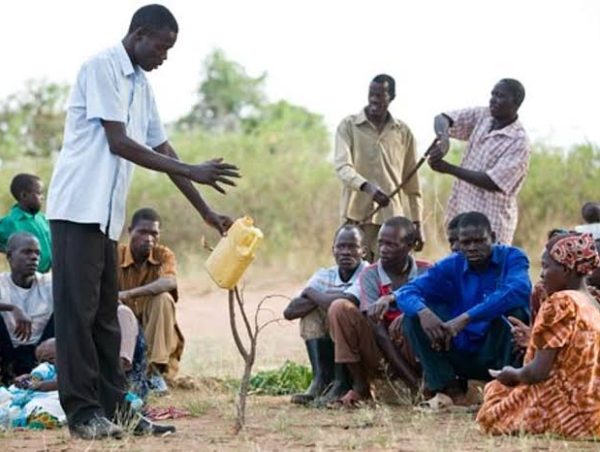 Community Development & Participatory Approaches