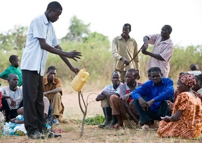 Community Development & Participatory Approaches